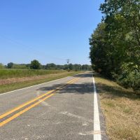 AR Chicot 63 acres - images 4