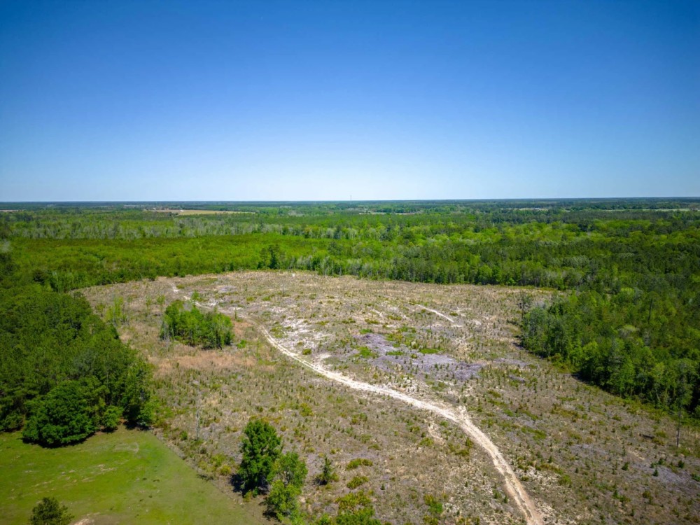 190 Acres of Pure Outdoor Paradise on Scuffle Town Road featured image