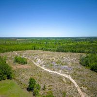 190 Acres of Pure Outdoor Paradise on Scuffle Town Road images 1