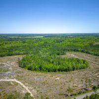 190 Acres of Pure Outdoor Paradise on Scuffle Town Road images 2
