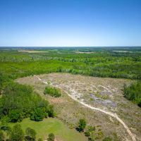 190 Acres of Pure Outdoor Paradise on Scuffle Town Road images 3