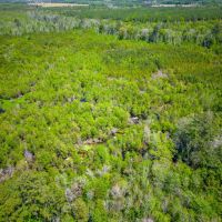 190 Acres of Pure Outdoor Paradise on Scuffle Town Road images 4