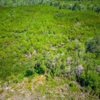 190 Acres of Pure Outdoor Paradise on Scuffle Town Road images 5