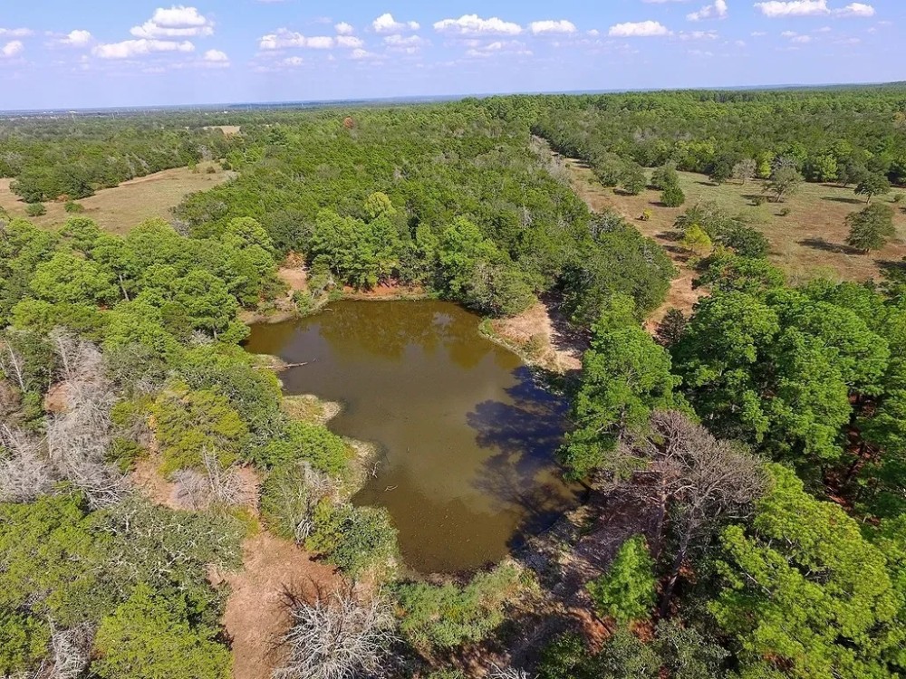 FM 448 Winchester Area La Grange TX Hunting Land for Sale