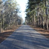 20 Acres For Sale in Williamsville MO images 4