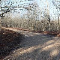 20 Acres For Sale in Williamsville MO images 5
