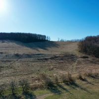 Mountain Rd. Fayette County - 138 acres images 5