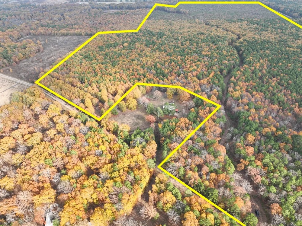 265 Acres CR 4223 Tract 1005 featured image