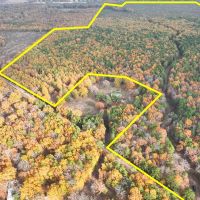 265 Acres CR 4223 Tract 1005