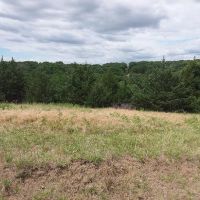988 acres of big deer, corn, trees, gulleys and a stream, what else do I need to say !