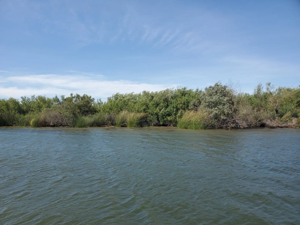 Hog Island featured image