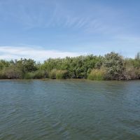 Hog Island