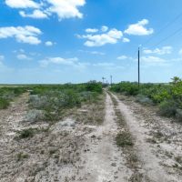 Duval 432 Acres images 2