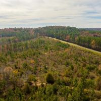 Pineywoods Ranch 613 images 3