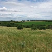 100 acres with the best mix of Corn, alfalfa, timber, year round live water and major trails,