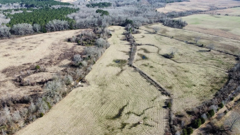 106 Acres in Attala County MS featured image