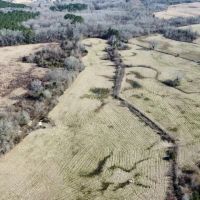 106 Acres in Attala County MS