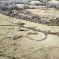106 Acres in Attala County MS images 3