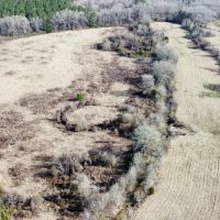 106 Acres in Attala County MS images 5