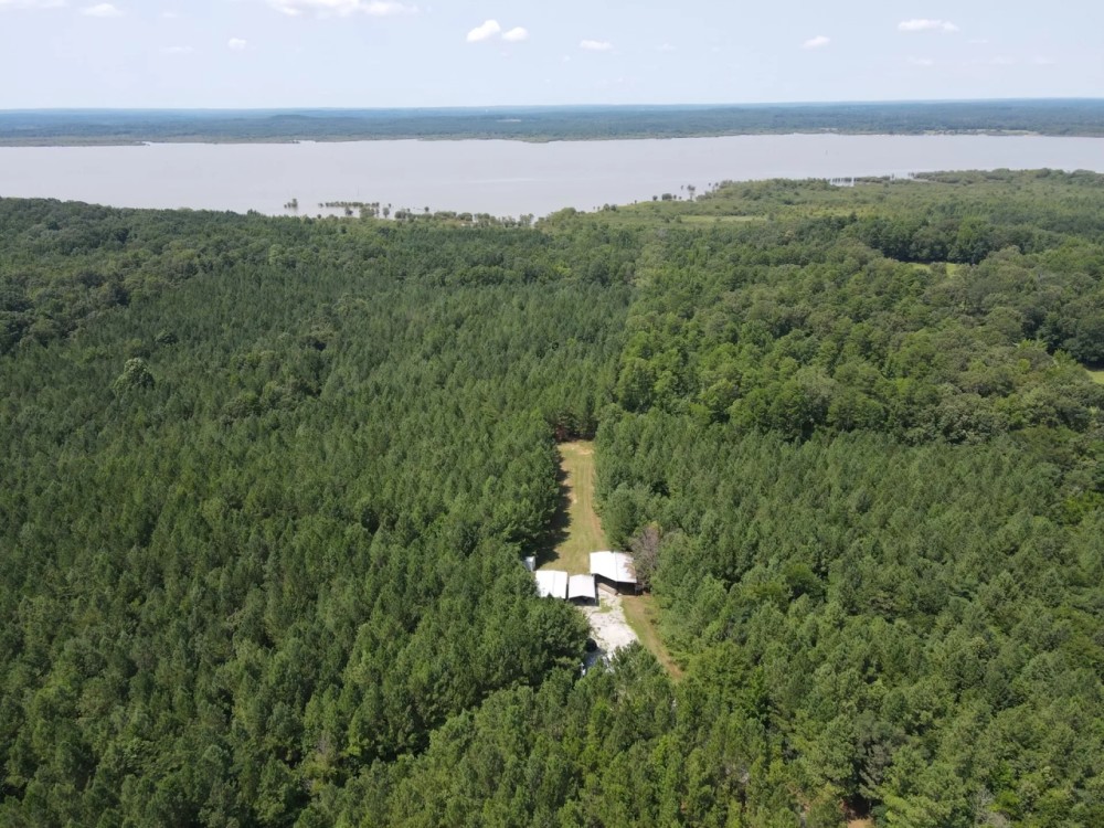 38.8 Acres in Yalobusha County MS featured image