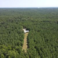 38.8 Acres in Yalobusha County MS images 3