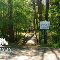 3212 North images 4