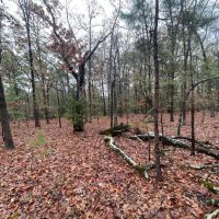 Buck Creek Hideaway images 5