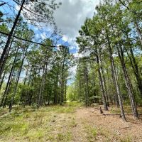 41 acres - in Chilton County