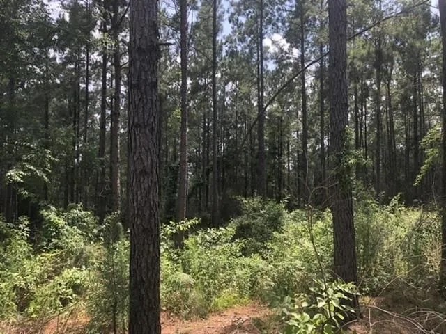 25.38 Acres in Smith County Mississippi featured image