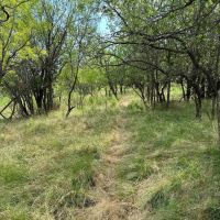 New Listing 22 Acres Tract 19 Shackelford County images 2