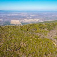 Recreational Hunting Land For Sale Honobia Oklahoma images 4