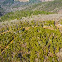 Recreational Hunting Land For Sale Honobia Oklahoma images 5