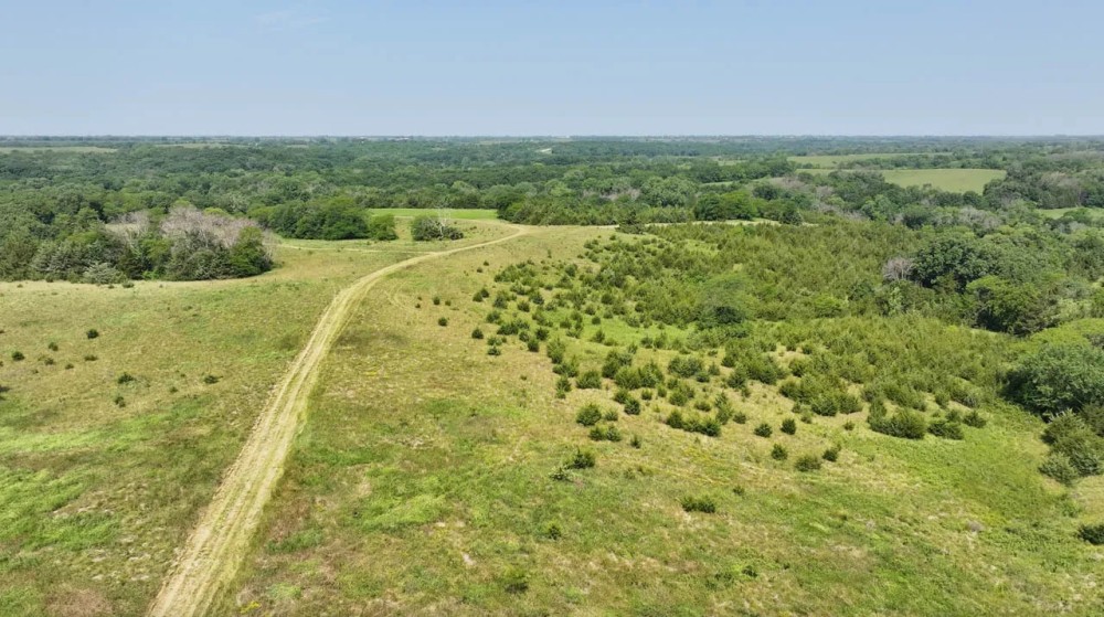 Wayne County Iowa 68 Acres For Sale featured image