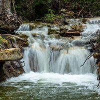 Patridge Creek Ranch