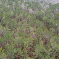 8 - Acres Randolph County images 3