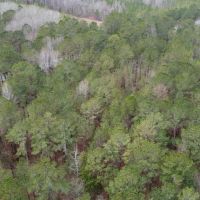 8 - Acres Randolph County images 4