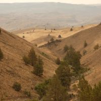 John Day Breaks Pasture images 5