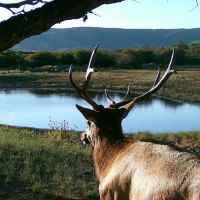 Pine Ridge Ranch images 2