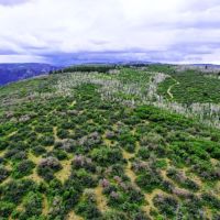 Pine Ridge Ranch images 3