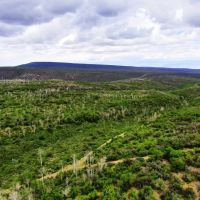 Pine Ridge Ranch images 4