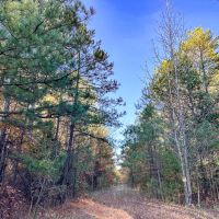 175 Acres FM 2120 Kiskadee images 5