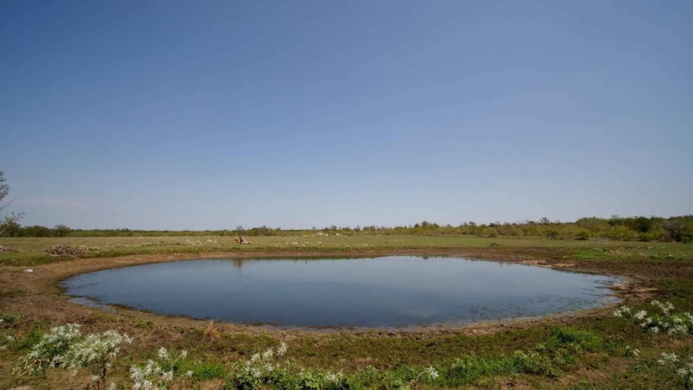 50 Acres in Milam COunty featured image