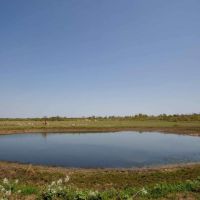 50 Acres in Milam COunty images 1