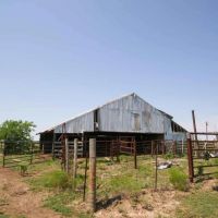50 Acres in Milam COunty images 3