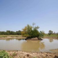 50 Acres in Milam COunty images 5
