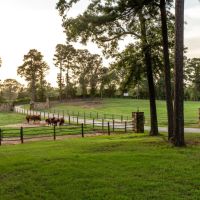 Anding Acres images 2