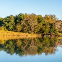 310 Acres In SE Oklahoma images 3