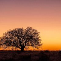 Pandale Ranch images 2