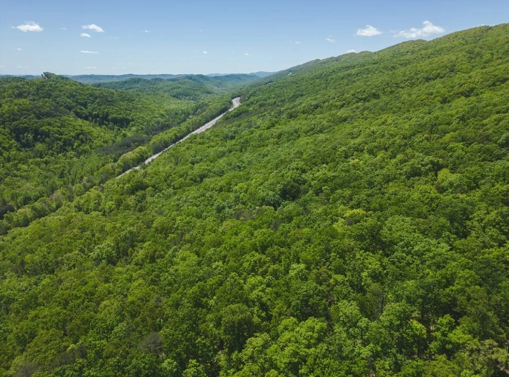 Serenity Unleashed Embrace Nature s Bounty in East Tennessee s Hidden Gem featured image