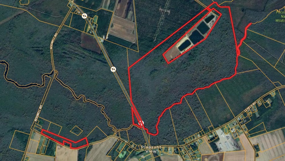 275-Acre Timberland for Sale in Tyrrell County NC featured image